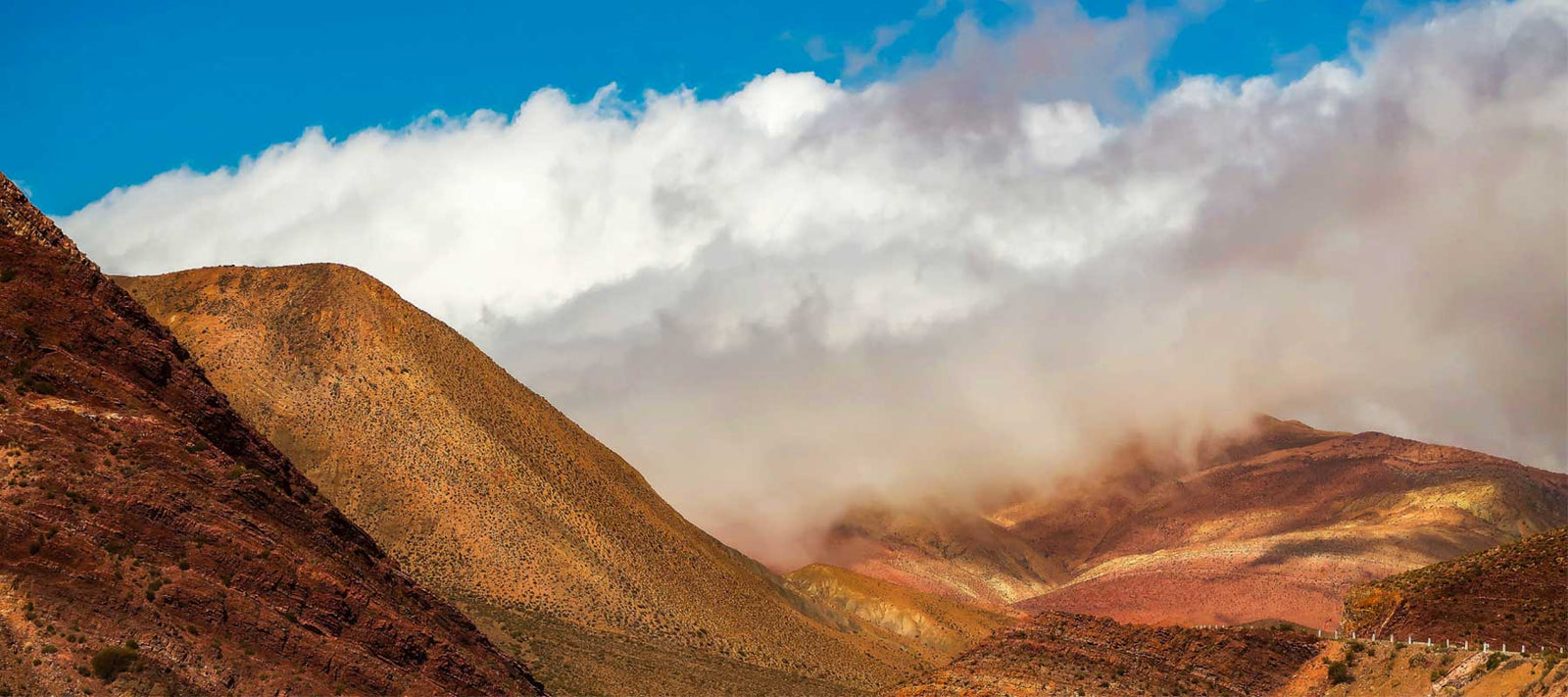 How cashmere is made: the origins and the creation of a timeless fabric