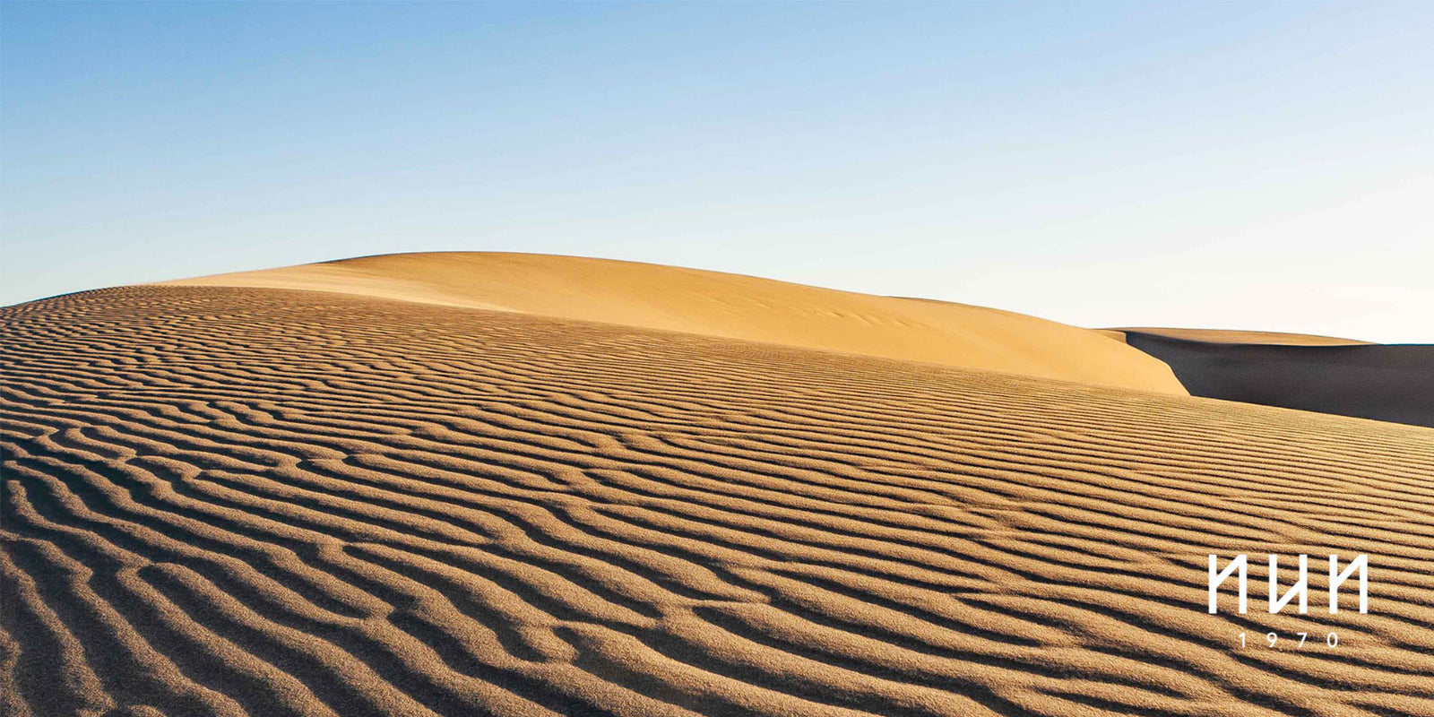 NUN1970 Sustainable Mongolian Cashmere Brand Vision: from the desert to your wardrobe.