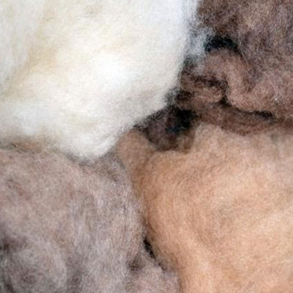 Undyed and unbleached Mongolian cashmere is responsibly sourced to create NUN1970 made in Italy creations