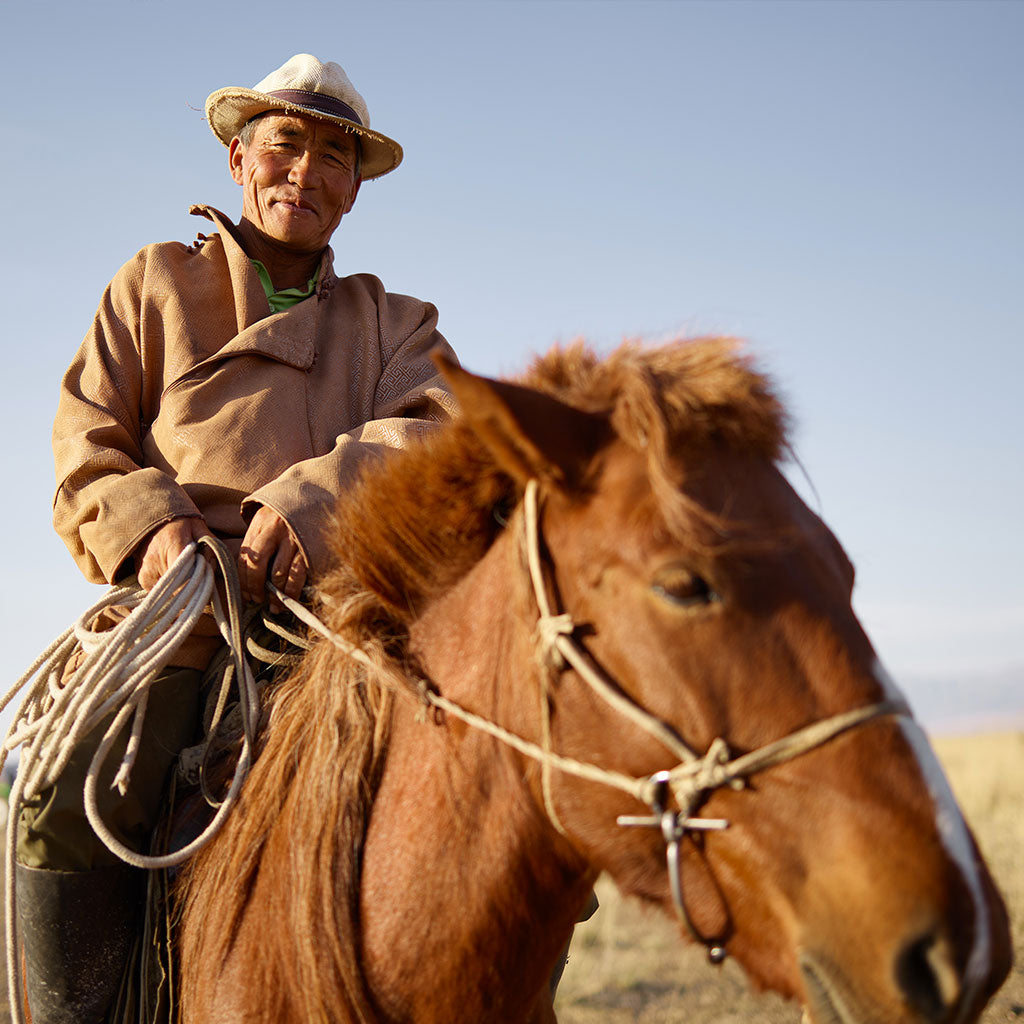 Mongolian cashmere herder on a horse, against a clear blue sky