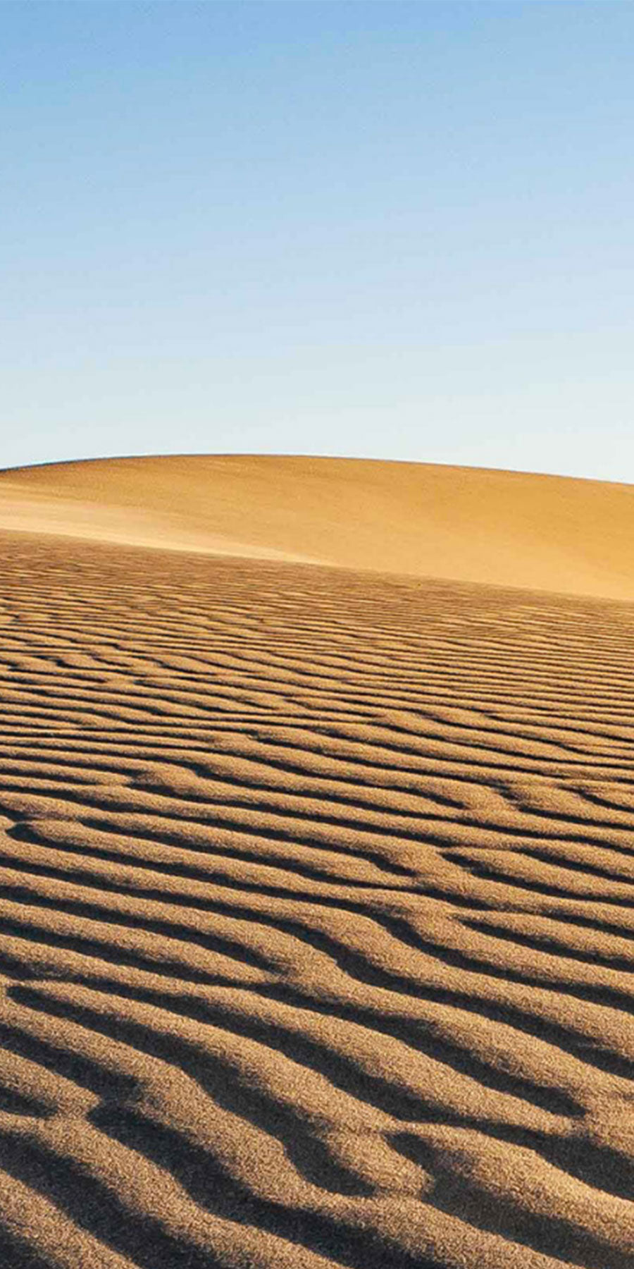 NUN1970 Sustainable Mongolian Cashmere Brand Vision: from the desert to your wardrobe.