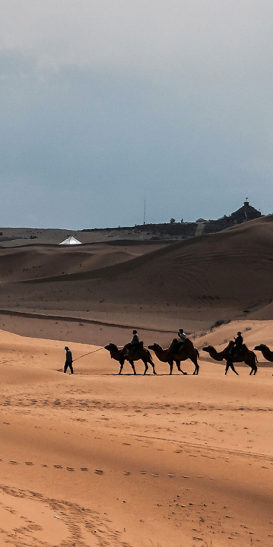 NUN1970 is a sustainable Mongolian cashmere brand made in Italy 